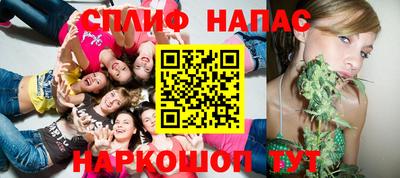 шишки Будённовск