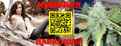 шишки Будённовск