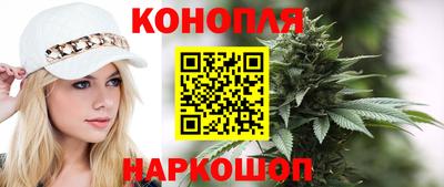 шишки Будённовск