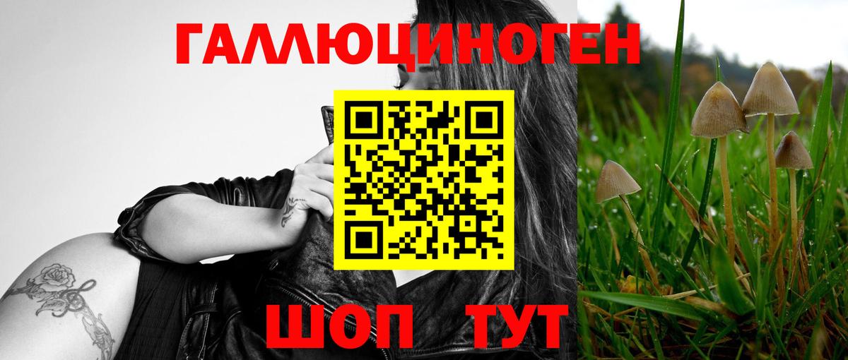 Кудымкар  Галлюциногенные грибы мицелий  Вход с VPN 