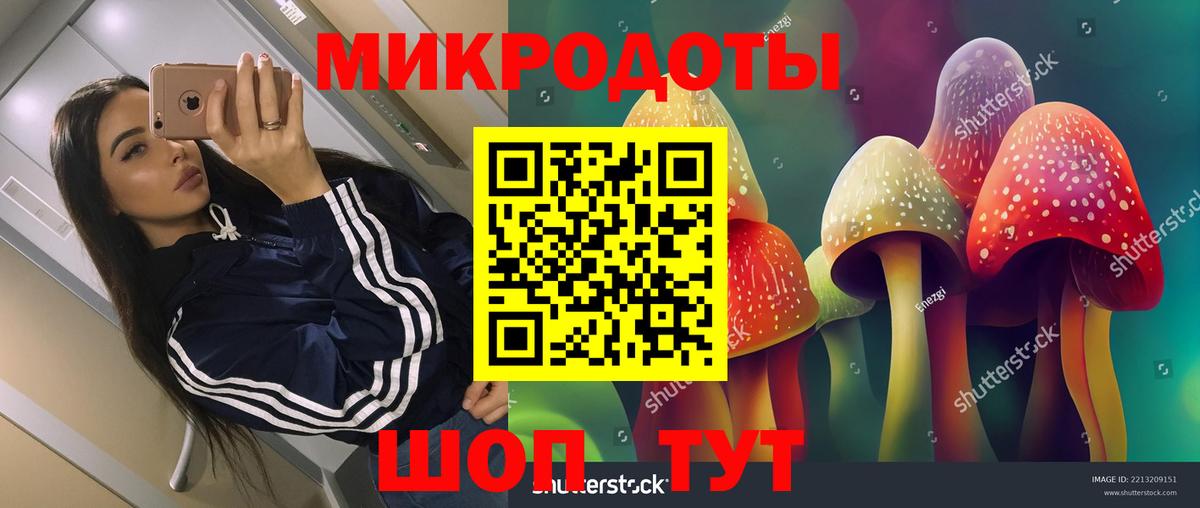 Псилоцибиновые грибы Cubensis Кудымкар